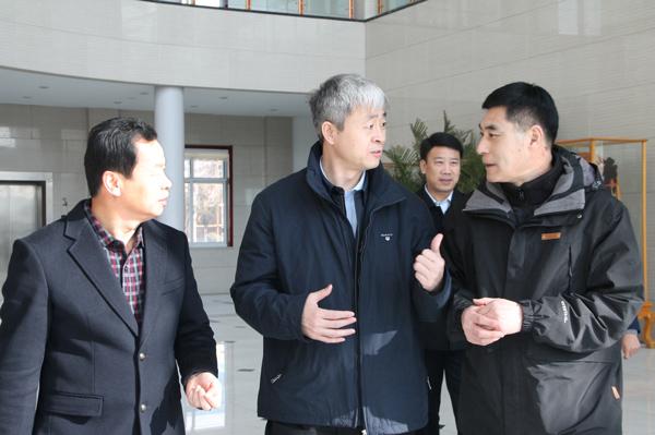 1485486167679840.jpg IMG_6933.JPG